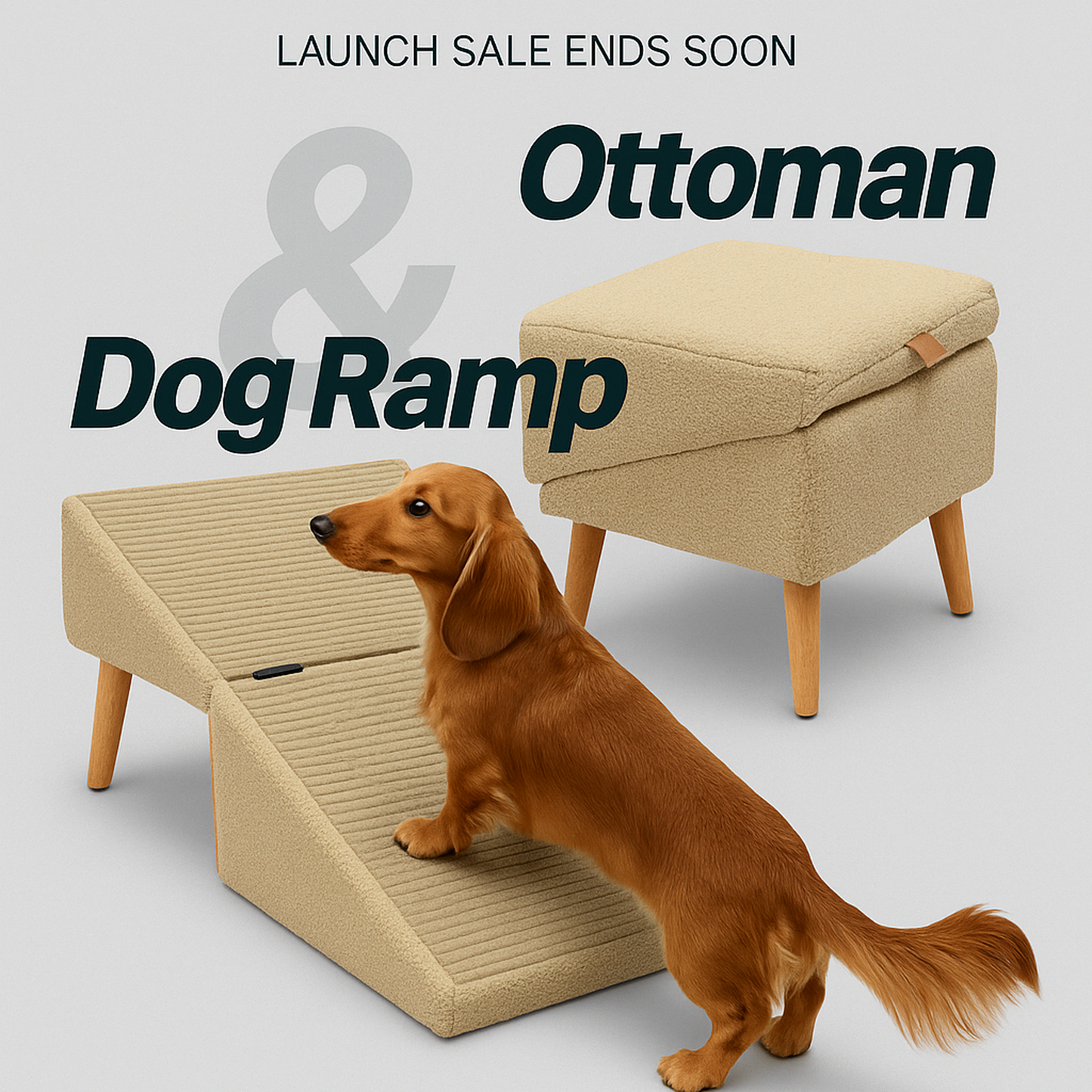 2-in-1 Wooden Dog Ramp & Step Stool for Home – Convertible Pet Stairs